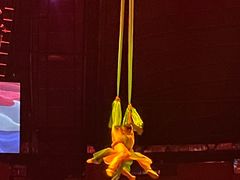 -俄罗斯国家大马戏团