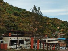 -Local泰莲庭(虹鳟鱼店)