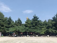 -护国法轮寺