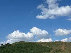 -草原天路(张北县)