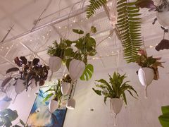 -春树下·树屋花房西餐厅(罍街AS1980店)