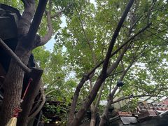 -VOYAGE COFFEE(杨梅竹店)