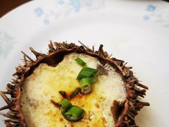 -海胆小馆(东北水饺·春柳店)