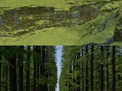 -渌洋湖湿地公园