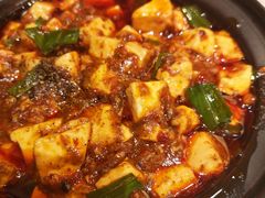 -陈麻婆豆腐总店