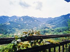 -葛子涧农家宴
