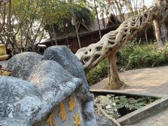 -瑞丽独树成林风景区