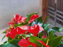 -大妙火锅·非物质文化遗产(东湖公园店)