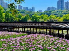 -龙头寺公园