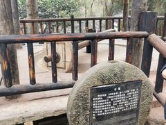 -黄龙溪古镇