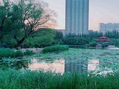 -青城公园