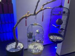 -悦融·京鲁菜·露台花园(安定门店)