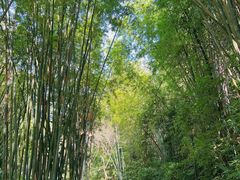 -广州市白云山风景名胜区