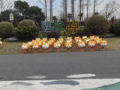 -上海长兴岛郊野公园