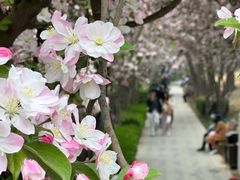 -元大都城垣遗址公园