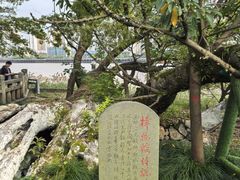 -江心屿景区