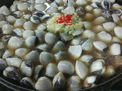 -顺德哥卜卜贝(旗舰店)