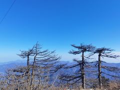 -秦岭风景区