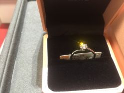 点击看大图 -Zbird钻石小鸟·钻戒婚戒定制高端珠宝私人定制中心