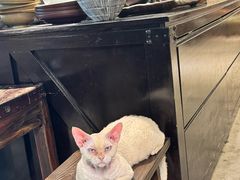 -自由生长植物工作室(深港花卉中心店)