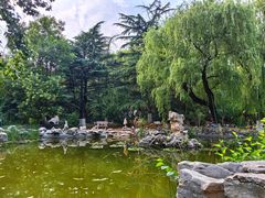 -山东师范大学(千佛山校区)