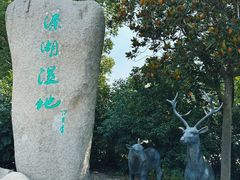 -溱湖国家湿地公园