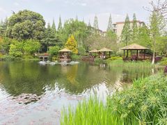 -成飞公园