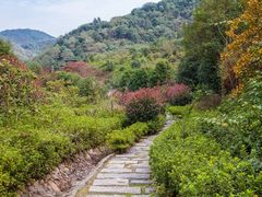 -桃花岭景区