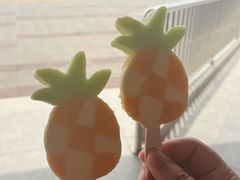 -野狸岛
