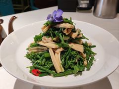 橄榄油丝瓜尖-北平楼·烤鸭·北京菜(牡丹园店)