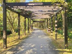 -九龙潭景区