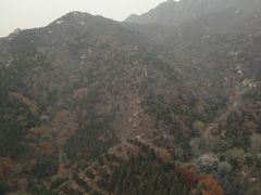 -康陵正德春饼宴26号