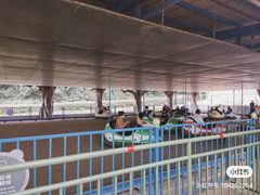 -无锡动物园·太湖欢乐园