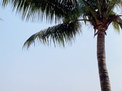 -深圳湾公园(南山区)