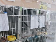 -瑞鹏宠物医院华南总院·夜诊·心脏科·骨科