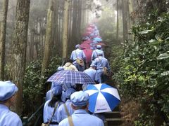 -井冈山风景名胜区-黄洋界