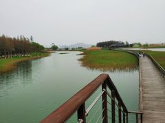 -太湖湖滨国家湿地公园-停车场