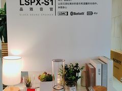 -Sony Store 索尼(上海淮海中路店)