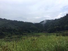 -金鸡岭桥头公园