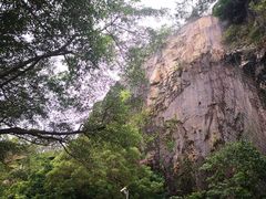 -板樟山森林公园