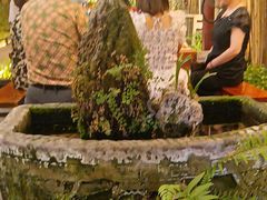 -三道苗苗鱼·美蛙黄辣丁(八里店)