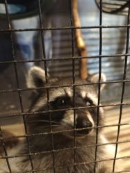 -酷嗒动物文化乐园(cutezoo西溪乐天城店)