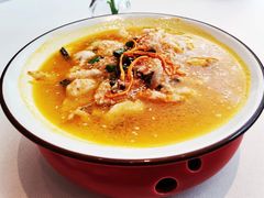 -陶苏·品味融合川菜(龙湖源著天街店)