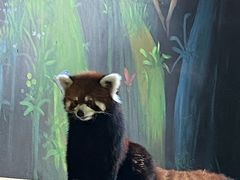 -绿色星球动物主题公园