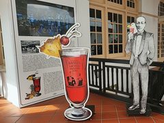 -Long Bar(莱佛士酒店)