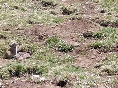-扁都口生态休闲旅游区