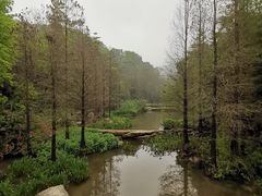 -云溪植物园