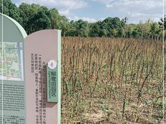 -柳鹭田园区
