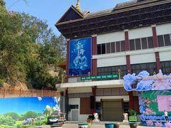 -西双版纳原始森林公园