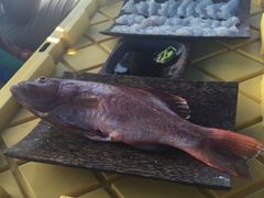 -斐济双桅帆船外岛一日游 浮潜 海钓 Tinhao号